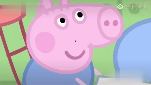 野猪佩奇爆料视频全集,揭秘全集背后的欢乐与成长